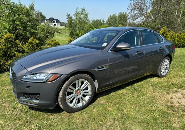 Jaguar XF cena 48900 przebieg: 70382, rok produkcji 2016 z Szczecinek małe 667